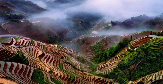 HILL STATIONS TOUR